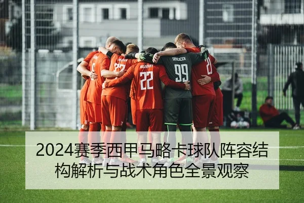 2024赛季西甲马略卡球队阵容结构解析与战术角色全景观察