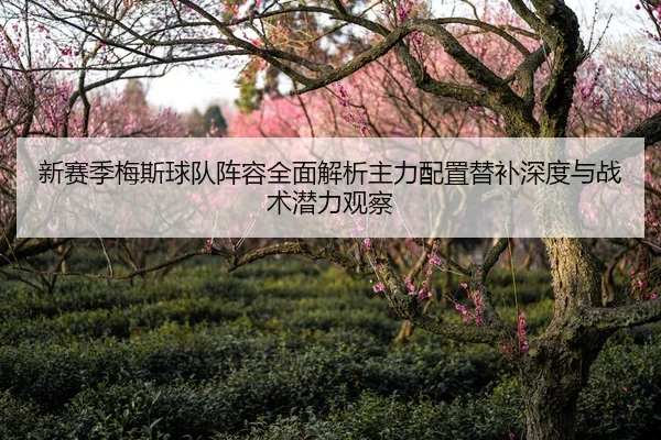 新赛季梅斯球队阵容全面解析主力配置替补深度与战术潜力观察