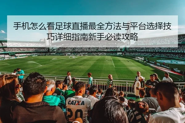 手机怎么看足球直播最全方法与平台选择技巧详细指南新手必读攻略